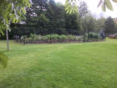 Vegetable Garden Fence