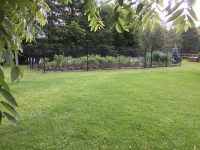 Vegetable Garden Fence