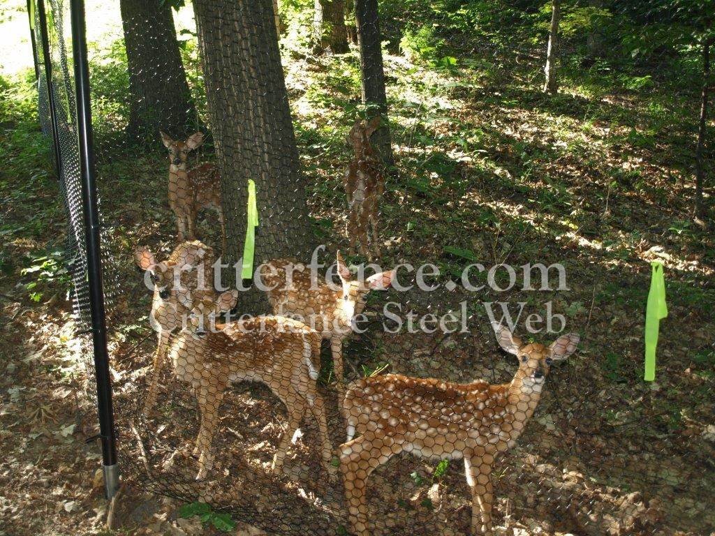 metal hexagrid deer fence