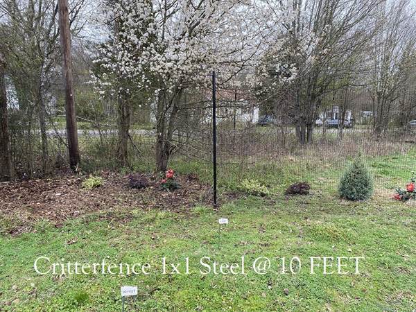 Critterfence Black Steel 1 Inch Square Grid 2 x 100 - 0685248510483