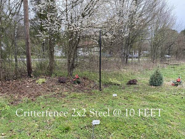 Critterfence Black Steel 2 Inch Square Grid 5 x 100 - 685248513521